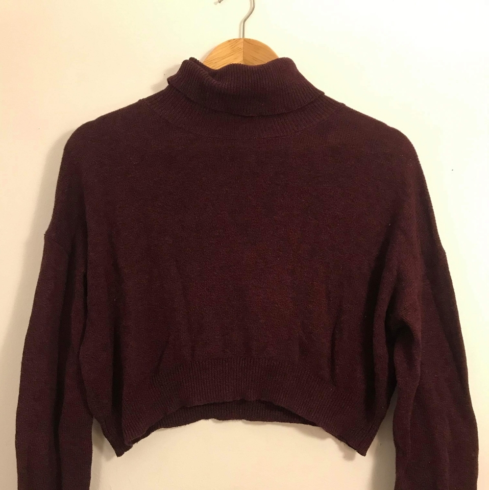 Crops turtleneck